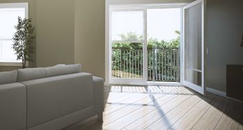 Hard surface floor & carpet